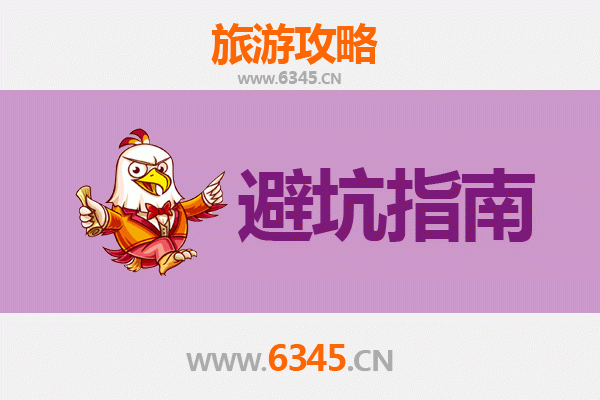 衡水武强旅游全攻略：资深博主亲测忠告与须知