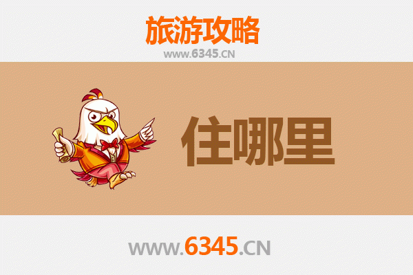 衡水武强民宿攻略：沉浸式体验年画之乡的慢生活
