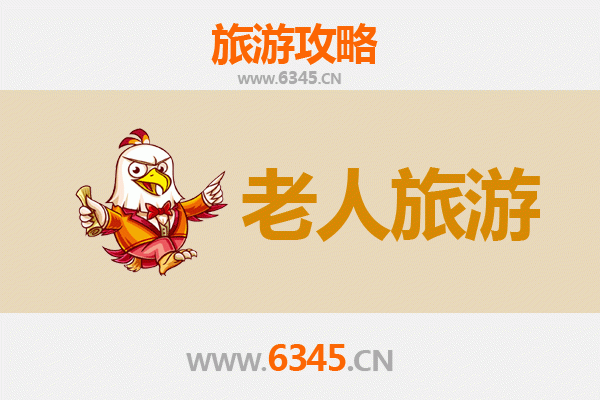 衡水武强银发之旅：慢游古城，乐享悠闲时光