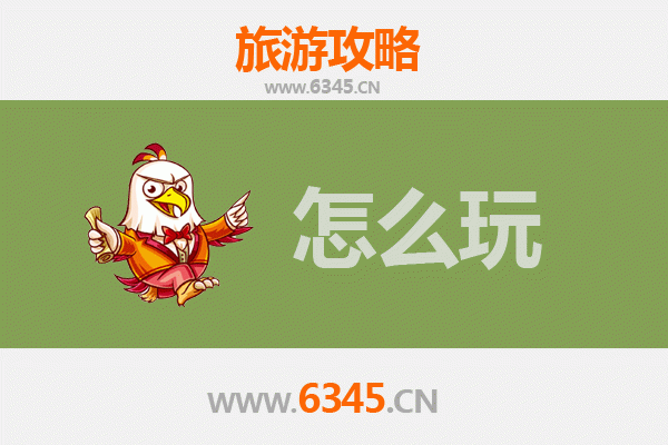 节假日衡水武强游玩全攻略：探秘年画之乡，乐享文化之旅